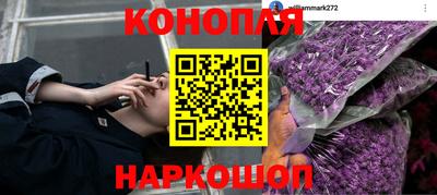 прущие крисы Усть-Джегута