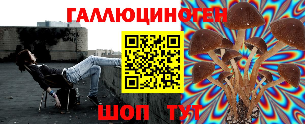 Галлюциногенные грибы мухоморы Воскресенск