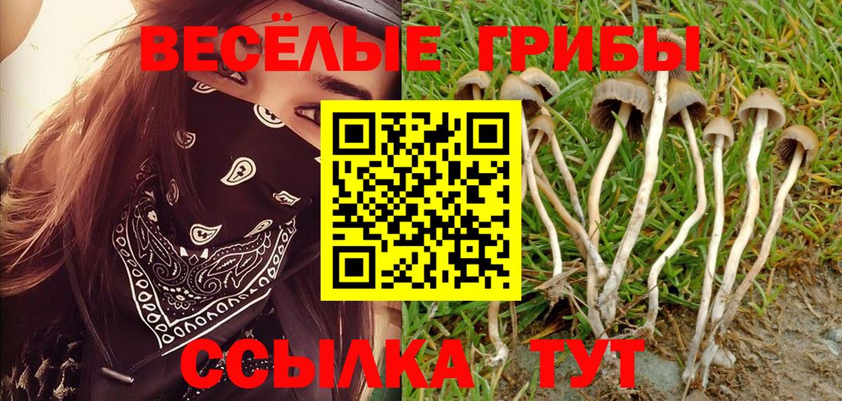 Воскресенск  Псилоцибиновые грибы MAGIC MUSHROOMS  Вход с VPN 